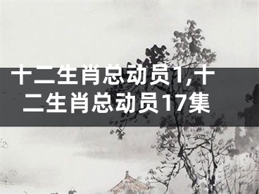 十二生肖总动员1,十二生肖总动员17集