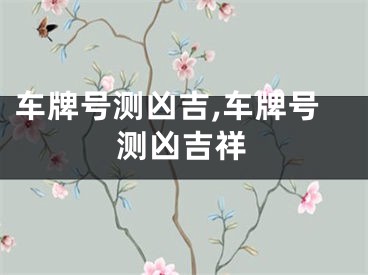 车牌号测凶吉,车牌号测凶吉祥