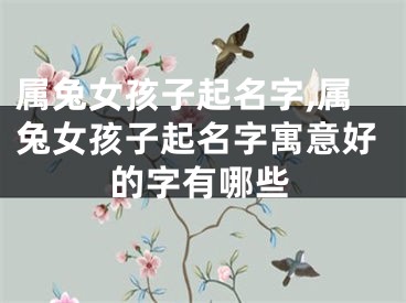 属兔女孩子起名字,属兔女孩子起名字寓意好的字有哪些