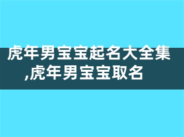 虎年男宝宝起名大全集,虎年男宝宝取名