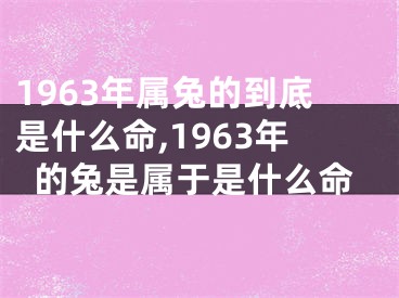1963年属兔的到底是什么命,1963年的兔是属于是什么命