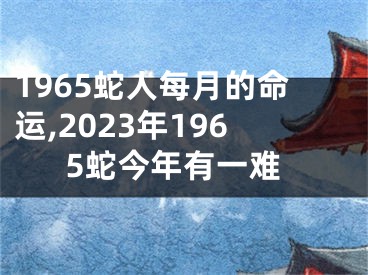 1965蛇人每月的命运,2023年1965蛇今年有一难