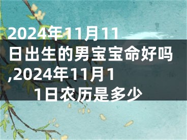 2024年11月11日出生的男宝宝命好吗,2024年11月11日农历是多少