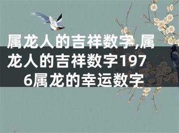 属龙人的吉祥数字,属龙人的吉祥数字1976属龙的幸运数字