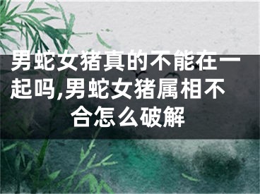 男蛇女猪真的不能在一起吗,男蛇女猪属相不合怎么破解