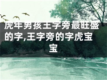 虎年男孩王字旁最旺盛的字,王字旁的字虎宝宝