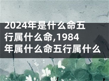2024年是什么命五行属什么命,1984年属什么命五行属什么