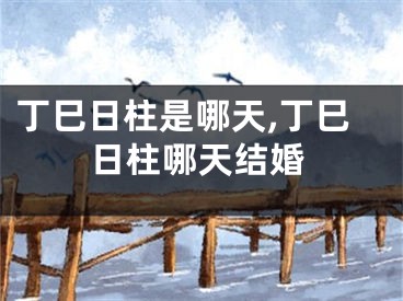 丁巳日柱是哪天,丁巳日柱哪天结婚