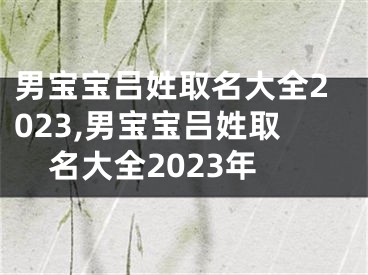 男宝宝吕姓取名大全2023,男宝宝吕姓取名大全2023年