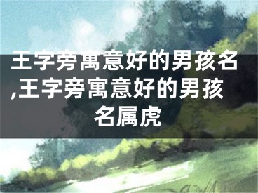 王字旁寓意好的男孩名,王字旁寓意好的男孩名属虎