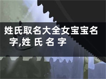 姓氏取名大全女宝宝名字,姓 氏 名 字