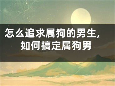 怎么追求属狗的男生,如何搞定属狗男