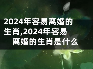 2024年容易离婚的生肖,2024年容易离婚的生肖是什么