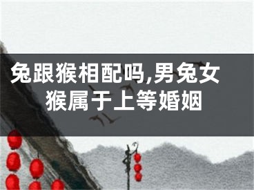 兔跟猴相配吗,男兔女猴属于上等婚姻
