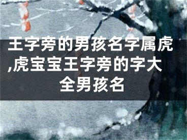 王字旁的男孩名字属虎,虎宝宝王字旁的字大全男孩名