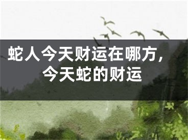 蛇人今天财运在哪方,今天蛇的财运