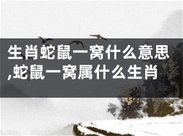 生肖蛇鼠一窝什么意思,蛇鼠一窝属什么生肖