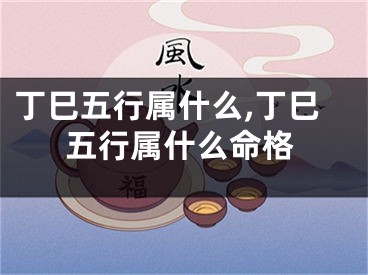 丁巳五行属什么,丁巳五行属什么命格