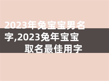 2023年兔宝宝男名字,2023兔年宝宝取名最佳用字