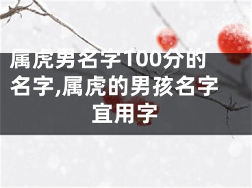 属虎男名字100分的名字,属虎的男孩名字宜用字