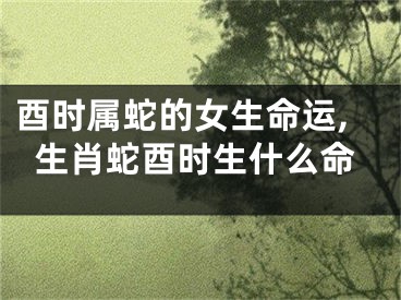 酉时属蛇的女生命运,生肖蛇酉时生什么命