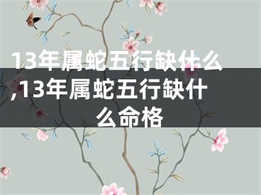 13年属蛇五行缺什么,13年属蛇五行缺什么命格