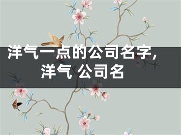洋气一点的公司名字,洋气 公司名