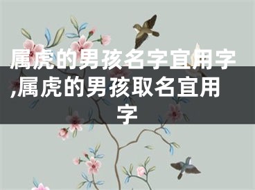 属虎的男孩名字宜用字,属虎的男孩取名宜用字