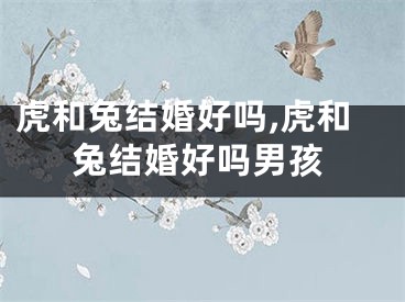 虎和兔结婚好吗,虎和兔结婚好吗男孩