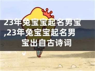 23年兔宝宝起名男宝,23年兔宝宝起名男宝出自古诗词