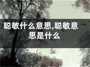 聪敏什么意思,聪敏意思是什么