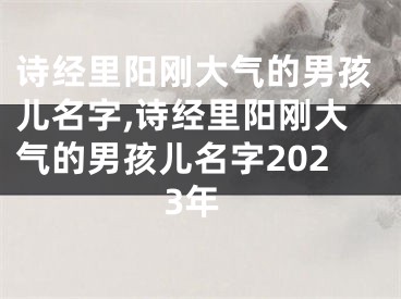 诗经里阳刚大气的男孩儿名字,诗经里阳刚大气的男孩儿名字2023年