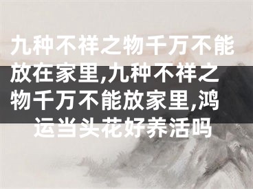 九种不祥之物千万不能放在家里,九种不祥之物千万不能放家里,鸿运当头花好养活吗
