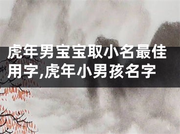 虎年男宝宝取小名最佳用字,虎年小男孩名字