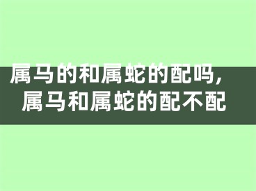 属马的和属蛇的配吗,属马和属蛇的配不配