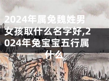 2024年属兔魏姓男女孩取什么名字好,2024年兔宝宝五行属什么