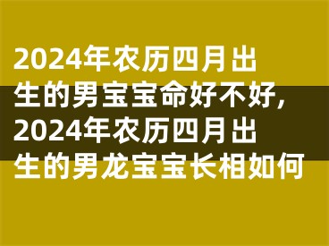 2024年农历四月出生的男宝宝命好不好,2024年农历四月出生的男龙宝宝长相如何