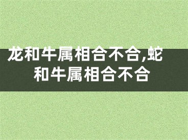 龙和牛属相合不合,蛇和牛属相合不合