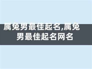 属兔男最佳起名,属兔男最佳起名网名