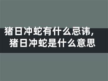猪日冲蛇有什么忌讳,猪日冲蛇是什么意思