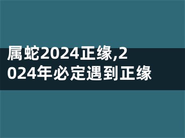 属蛇2024正缘,2024年必定遇到正缘