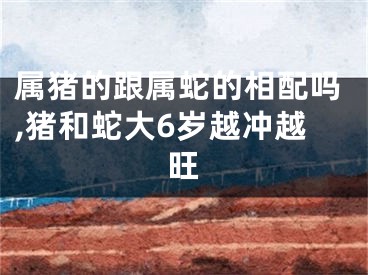 属猪的跟属蛇的相配吗,猪和蛇大6岁越冲越旺