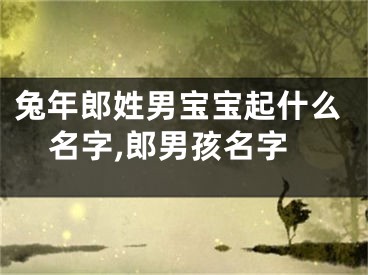 兔年郎姓男宝宝起什么名字,郎男孩名字