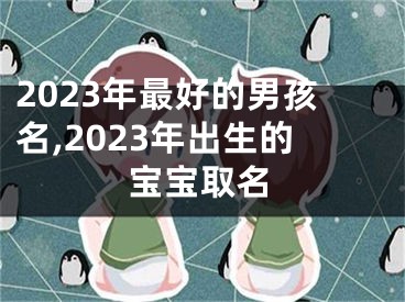 2023年最好的男孩名,2023年出生的宝宝取名