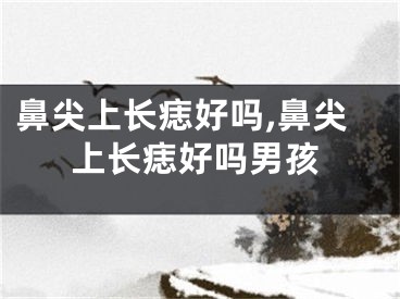 鼻尖上长痣好吗,鼻尖上长痣好吗男孩