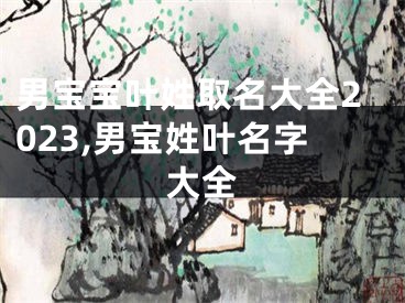 男宝宝叶姓取名大全2023,男宝姓叶名字大全