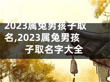 2023属兔男孩子取名,2023属兔男孩子取名字大全