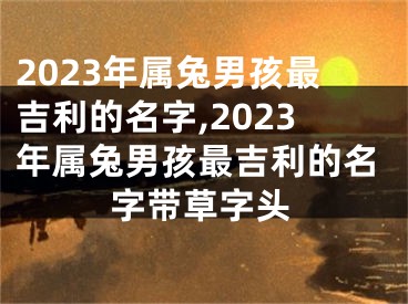 2023年属兔男孩最吉利的名字,2023年属兔男孩最吉利的名字带草字头