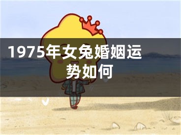 1975年女兔婚姻运势如何