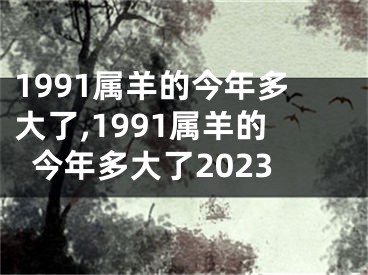 1991属羊的今年多大了,1991属羊的今年多大了2023